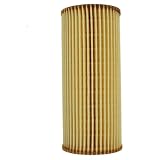 FRAM CH10160 Full-Flow Lube Cartridge Filter