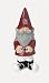 Indiana Hoosiers NCAA Lucky Garden Gnome