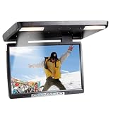 Brand DW-F1560 NEW 15.6 Inch High Resolution TFT Roof Mount Monitor - Flip-Down Monitor with Twin Dome Lights nd Built in Ir Transmitter and Resolution and the Best Features **1366x768 Resolution** (black)