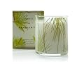 Thymes Poured Candle, Frasier Fir, 6.5-Ounce Jar