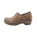 Ariat Womens Santa Cruz Clog Clogs/Shoes