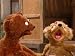 Curly's Growl is Bigger Than Baby Bear's. Episode 4076
