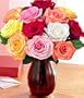 One Dozen Rainbow Valentine's Day Roses
