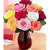 One Dozen Valentine Roses