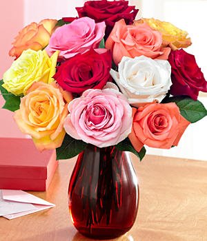 One Dozen Assorted Roses