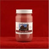 Cinnamon Blast 16oz. Mason Jar Scented Soy Wax Candle, By Pueblo Candles