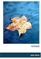 Kimono (Large Print Edition)