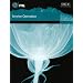 ITIL Service Operation - German Translation: Office of Government Commerce