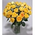 Two Dozen Long Stemmed Premium Yellow Roses