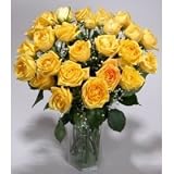 Two Dozen Long Stemmed Premium Yellow Roses