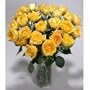 Two Dozen Long Stemmed Premium Yellow Roses