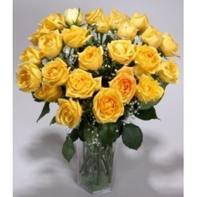 Two Dozen Long Stemmed Premium Yellow Roses