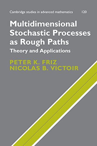 Multidimensional Stochastic Processes as Rough Paths: Theory and Applications (Cambridge Studies in Advanced Mathematics)