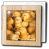 Review 3dRose LLC  / Baby Chicks - 6 Inch Tile Napkin Holder