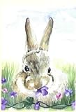 Garden Bunny Decorative House Flag