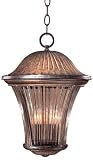 Amarante Fluorescent 16 3/4 High Outdoor Hanging Light