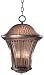 Amarante Fluorescent 16 3/4 High Outdoor Hanging Light
