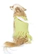 2Pc Peter Pan's Tinkerbell Cute Dog Holiday Pet Costume
