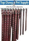Studded Leather Collar Display