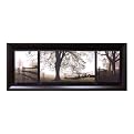 Frosted View Framed Art