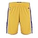 Los Angeles Lakers NBA adidas Youth Mesh Swingman Home Shorts