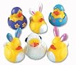 One Dozen (12) Easter Rubber Ducky Party Favors