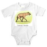 Onesie with africa, spotted, hyena, crocuta, animal, dog