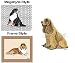 Cocker Spaniel (Buff) Mouse Pad