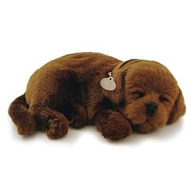 Click here to buy Perfect Petzzz Chocolate Lab by Perfect Petzzz