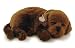 Perfect Petzzz Chocolate Lab