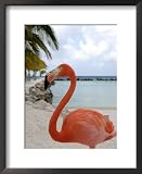 Pink Flamingo on Renaissance Island, Aruba, Caribbean Framed Art Poster Print by Lisa S. Engelbrecht, 18x22