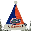 Florida Gators Mistletoe Santa Hat