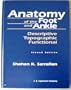 Anatomy of the Foot and Ankle: Descriptive, Topographic, Functional