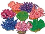 Flexible Corals Prepack Large 8pc