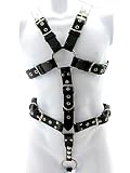 M2m Full Body Buckle Harness, Xlarge/XX Large