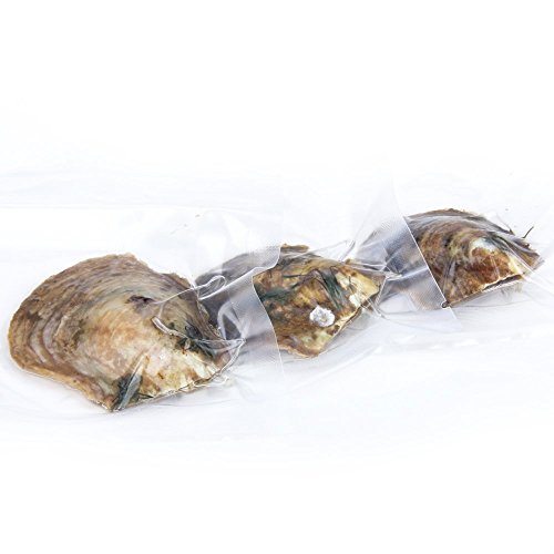 Round Akoya Twins Cultured Pearl in Oyster 6-7mm 50pcs (White, Pink, Purple,Dyed Black)