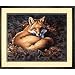 Sunlit Fox (20"x16") Lg. Paint By Number Dimensions