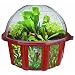 DuneCraft Dome Terrariums - Carnivorous Plants