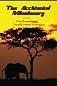 The Accidental Missionary