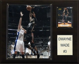 Miami Heat Dwayne Wade 12
