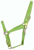 Hamilton 8DAS AVLI 3/4-Inch Nylon Arabian Horse Halter for 800 to 1100-Pound Horse, with Adjustable Chin and Throat Snap, Lime Green