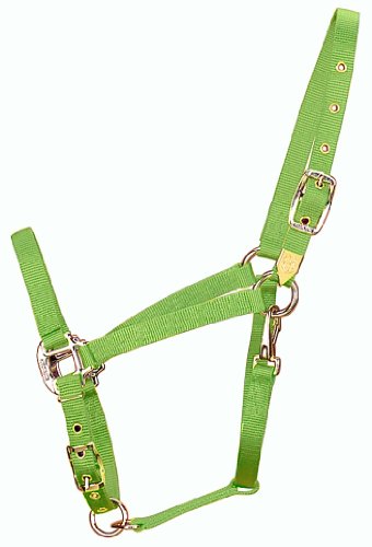 Hamilton 8DAS AVLI 3/4-Inch Nylon Arabian Horse Halter for 800 to 1100-Pound Horse, with Adjustable Chin and Throat Snap, Lime Green