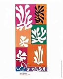 Kunstdruck / Poster: Henri Matisse, Fleurs De Neige, 1951, 24 x 30