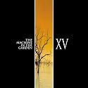 XV