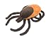 Giant Microbes Tick (Ixodes Scapularis) Plush Toy