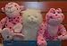 Webkinz Love Monkey, Love Frog and Persian Cat