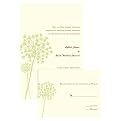 Green Flat-Panel Invitation Kit 50-pk.