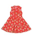 Room Seven Red Rose Sleeveless Dress 3T (98)