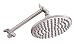 Danze D451159BN Eight-Inch Sunflower Showerhead with Nine-Inch Extension Arm, Brushed Nickel