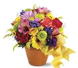 Teleflora's Fresh Blossom Potpourri
